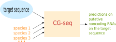 CG-seq