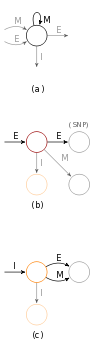 SNP, color error and indel sub-automata